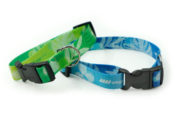Collare per cani personalizzabile verde e blu, resistente all’usura e perfetto per eventi promozionali, distribuito da AMGS Group.